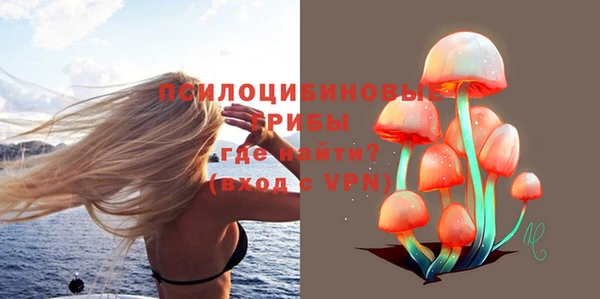 прущие грибы Верея