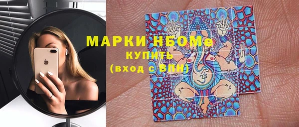 прущие грибы Верея