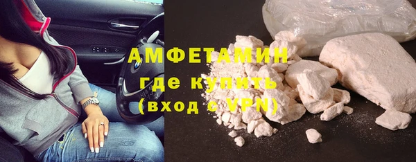прущие грибы Верея