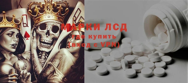 прущие грибы Верея
