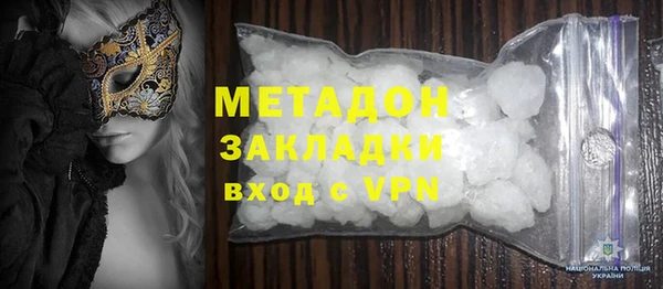 прущие грибы Верея