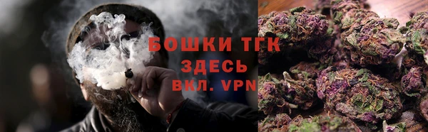 прущие грибы Верея