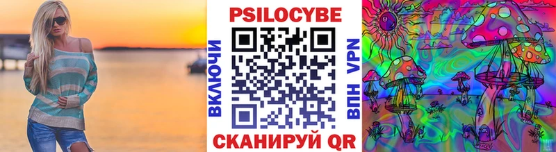 Псилоцибиновые грибы Psilocybe  магазин продажи   Весьегонск 